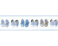 купить A.S.Creation Little Stars 35864-2