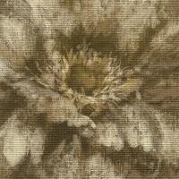 купить Sirpi Murogro Impression 17544
