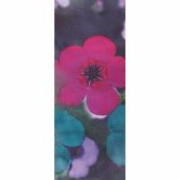 купить Marburg Suprofil 2014 45321