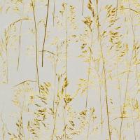 купить Yulan Gold Index 097101