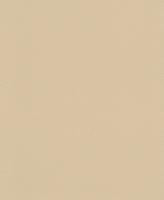 купить Rasch Modern Surfaces 2 610383