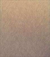 купить KT Exclusive Quod2 224C-04