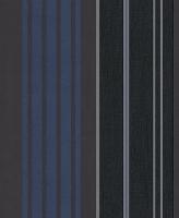 купить Rasch Modern Update 771589