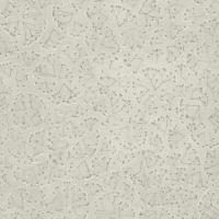 купить Rasch Gypso 700718