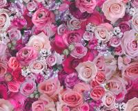 купить A.S.Creation Urban Flowers 32722-1