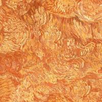 купить BN International Van Gogh 17170