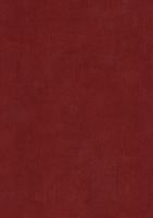 купить BN International Color Stories BN 46016