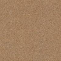 купить Rasch Passepartout 606676
