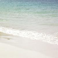 купить Eijffinger Ibiza 330284