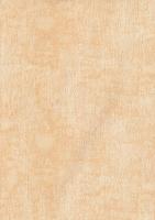 купить BN International Color Stories BN 48467
