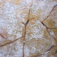 купить Marburg Profil Verschnitt 3440