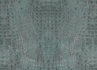 купить BN International Curious 17954