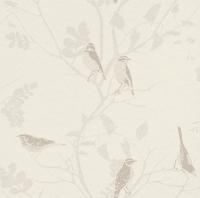 купить Rasch Cosy White 2015 268576