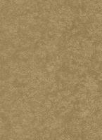 купить Erismann Cassinia 5210-11