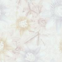купить P+S International Fashion for Walls 2 02488-20