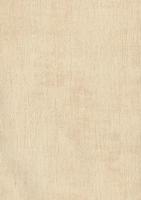 купить BN International Color Stories BN 218511