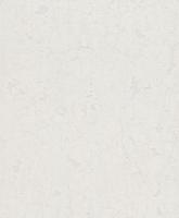 купить Rasch Modern Surfaces 860009