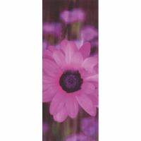 купить Marburg Suprofil 2014 45314