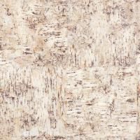 купить Rasch Selection 784275