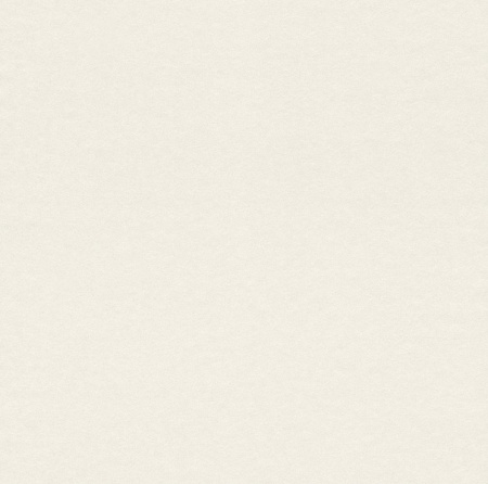 фото Rasch Cosy White 2015 269368