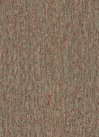 фото Erismann Natural Silence 5283-11