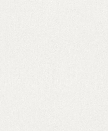 фото Rasch Modern Surfaces 701111