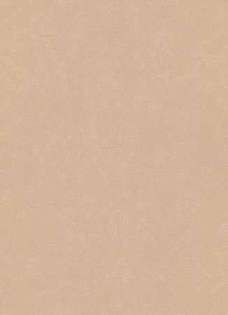 фото Erismann City Glam 5958-49