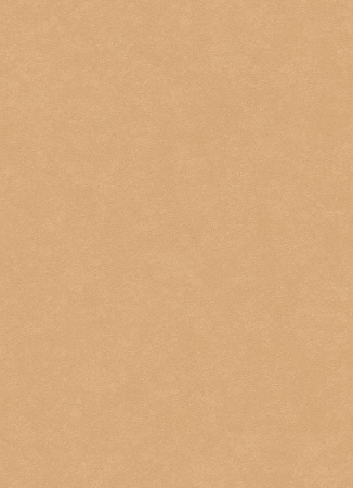 фото Erismann City Glam 5958-27