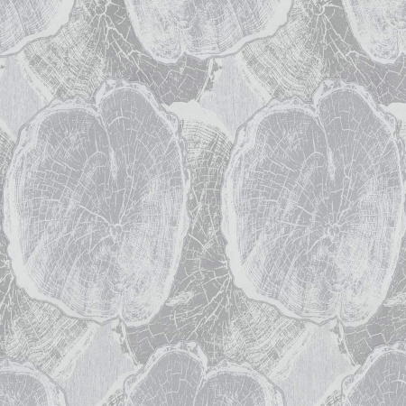фото P+S International Studio Line 02429-20