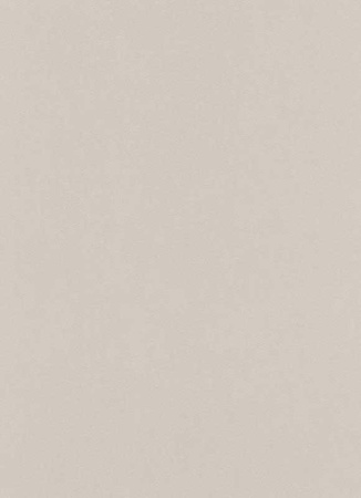 фото Erismann FreeStyle 6342-37