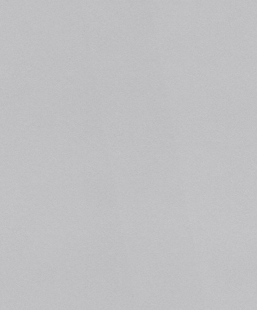 фото Rasch Modern Surfaces 2 604023