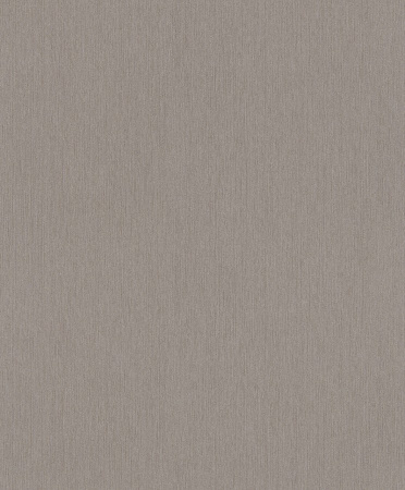 фото Rasch Modern Surfaces 701142