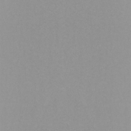 фото Rasch Emilia 501223
