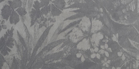 фото Hookedonwalls Tropical Chic 36007