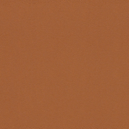 фото Rasch Cosmopolitan 576009