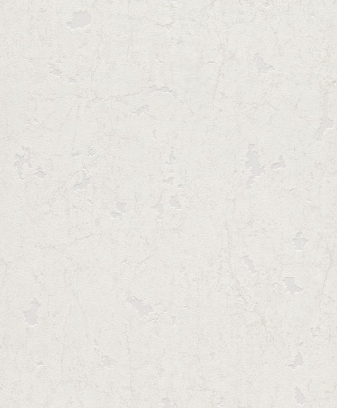 фото Rasch Modern Surfaces 860009