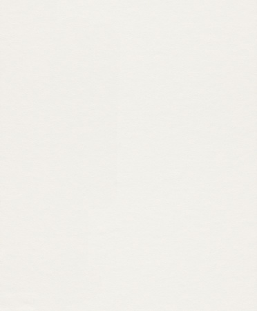 фото Rasch Wallton Dimension 342307