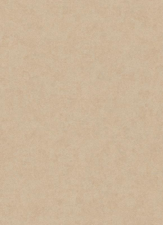 фото Erismann Profi Deco 5299-02