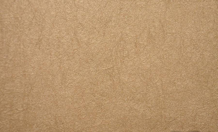 фото Rasch Gentle Divine 216003