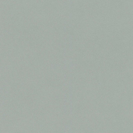 фото Rasch Crispy Paper 527032