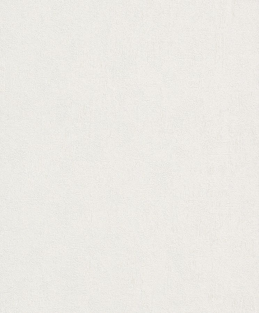 фото Rasch Modern Surfaces 489804