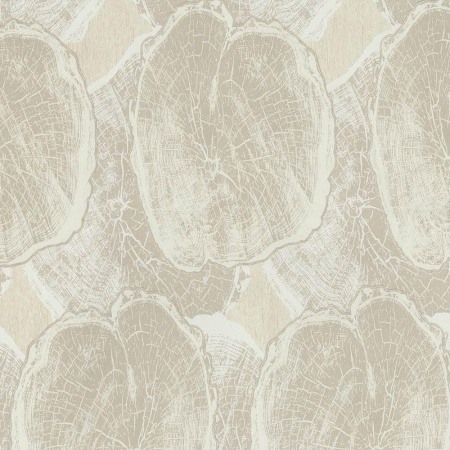 фото P+S International Studio Line 02429-30