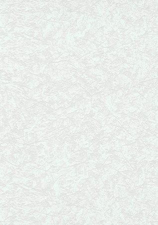 фото Erismann RollOver Fashion 3980-01