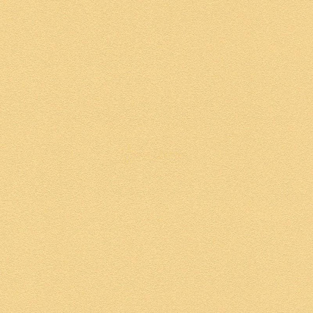 фото Rasch Prego 2 2019 740127