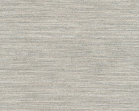 фото A.S.Creation Titanium 2 36006-2