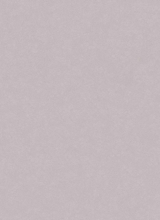 фото Erismann City Glam 5958-38