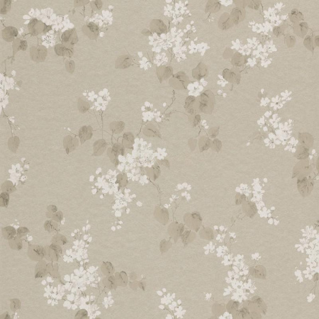 фото Rasch Emilia 501520