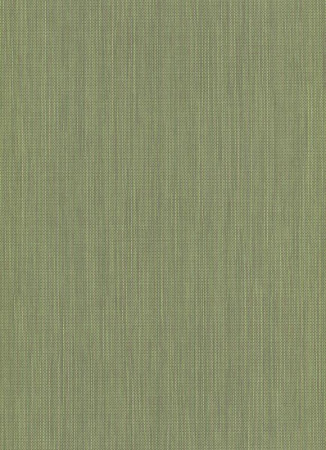 фото Erismann Paradisio 2 6309-36