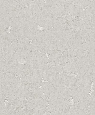 фото Rasch Modern Surfaces 860016