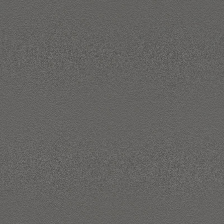 фото Rasch Prego 2 2019 700329
